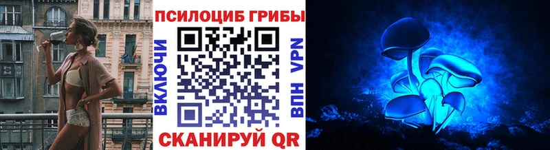 Купить закладки  Далматово  Псилоцибиновые грибы ЛСД 