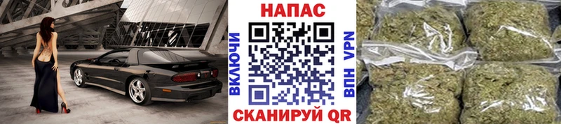Купить где  Далматово  Канабис планчик 